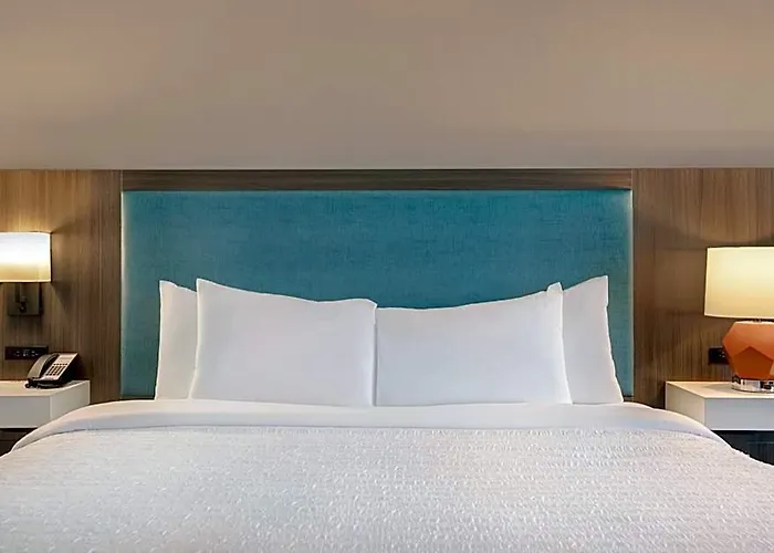 Hampton Chicago 2*