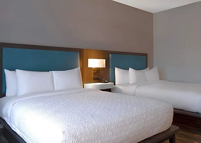 Отель Hampton Chicago 2*