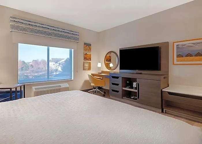 Отель Hampton Chicago 2*