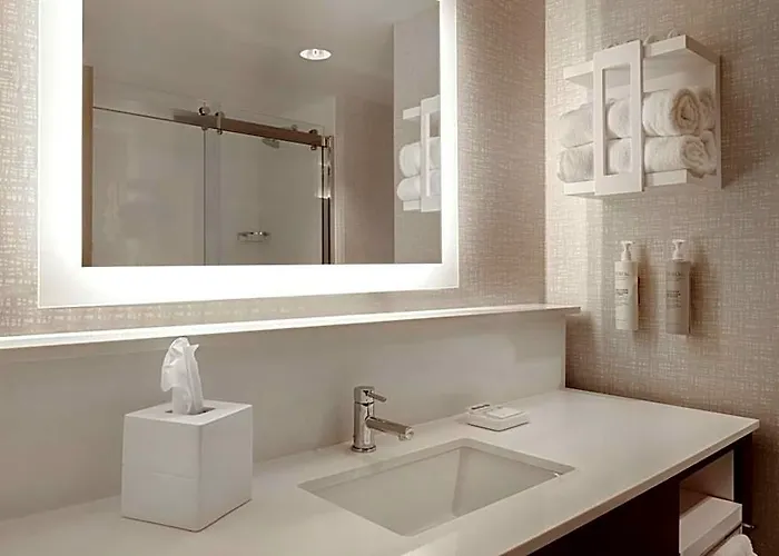 Отель Hampton Chicago 2*